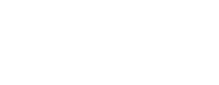 Stella International, Inc.